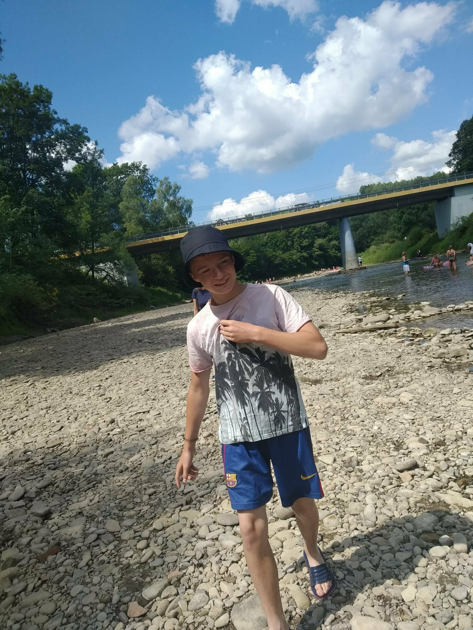 Kotu w podrozy